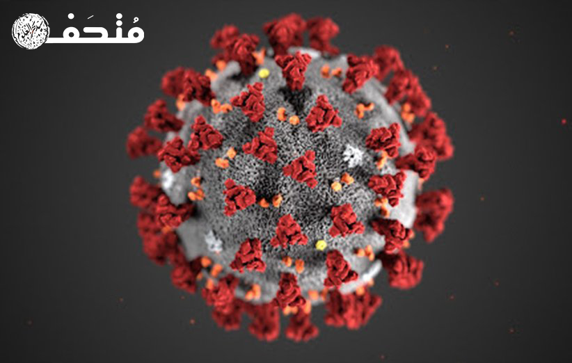 همه چیز در مورد پیدایش، گسترش و پیشگیری از ویروس کرونا